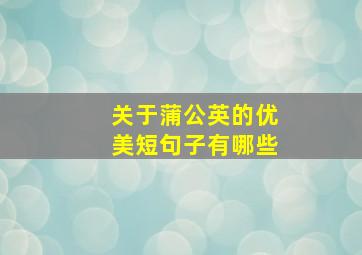 关于蒲公英的优美短句子有哪些