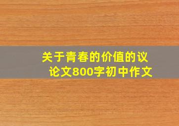 关于青春的价值的议论文800字初中作文