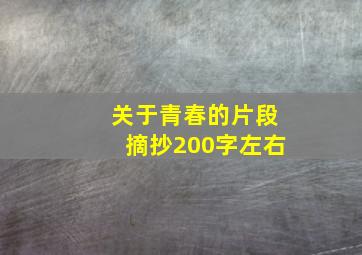 关于青春的片段摘抄200字左右