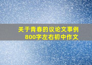 关于青春的议论文事例800字左右初中作文