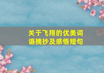 关于飞翔的优美词语摘抄及感悟短句