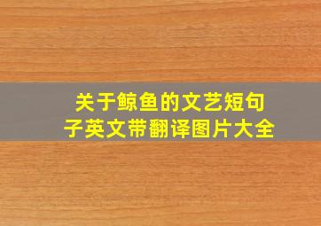 关于鲸鱼的文艺短句子英文带翻译图片大全