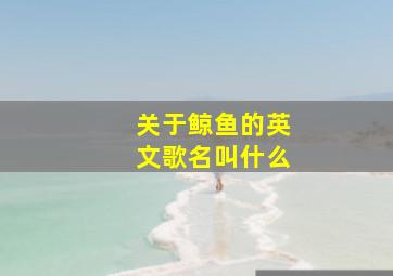 关于鲸鱼的英文歌名叫什么