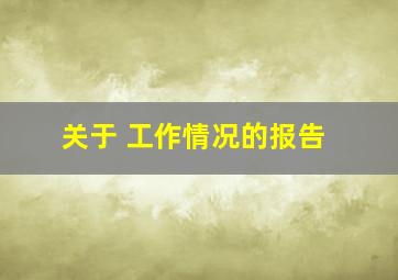 关于 工作情况的报告