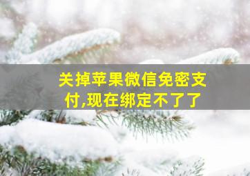 关掉苹果微信免密支付,现在绑定不了了