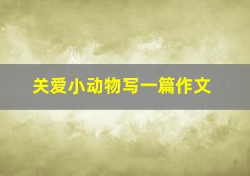 关爱小动物写一篇作文