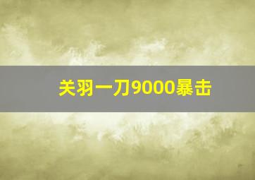 关羽一刀9000暴击