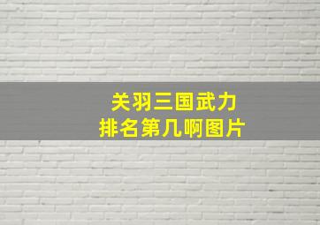 关羽三国武力排名第几啊图片