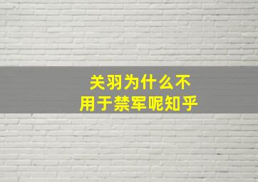 关羽为什么不用于禁军呢知乎