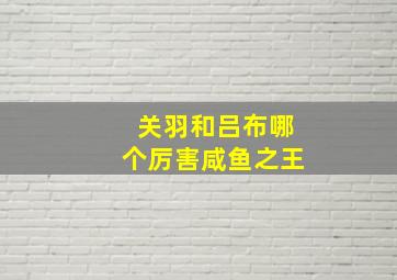 关羽和吕布哪个厉害咸鱼之王