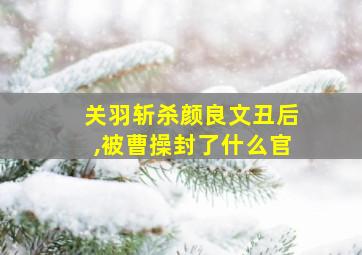 关羽斩杀颜良文丑后,被曹操封了什么官