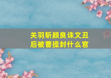 关羽斩颜良诛文丑后被曹操封什么官