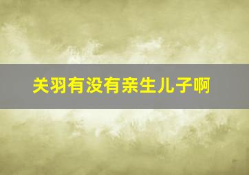 关羽有没有亲生儿子啊