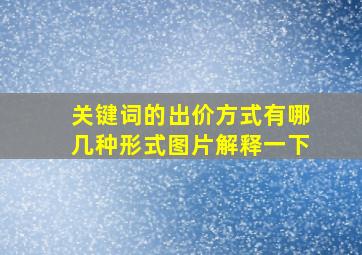 关键词的出价方式有哪几种形式图片解释一下