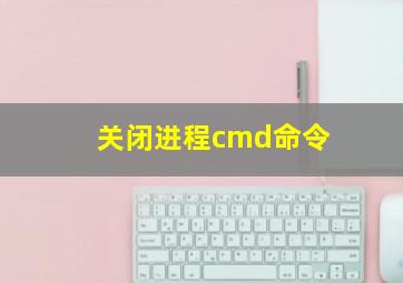 关闭进程cmd命令