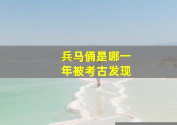 兵马俑是哪一年被考古发现