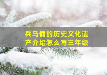 兵马俑的历史文化遗产介绍怎么写三年级