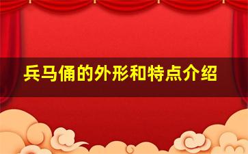 兵马俑的外形和特点介绍