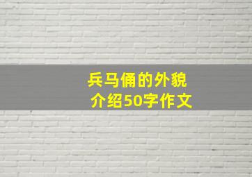 兵马俑的外貌介绍50字作文