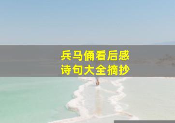 兵马俑看后感诗句大全摘抄