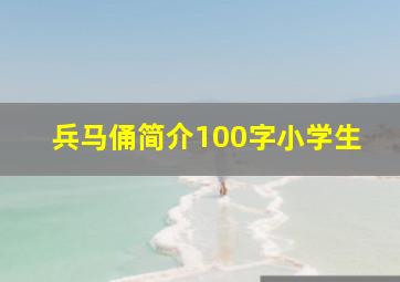 兵马俑简介100字小学生