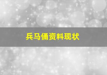 兵马俑资料现状