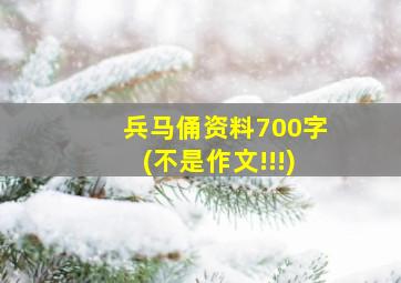 兵马俑资料700字(不是作文!!!)