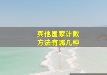 其他国家计数方法有哪几种