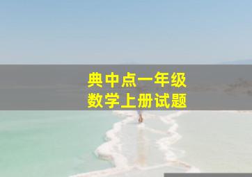 典中点一年级数学上册试题