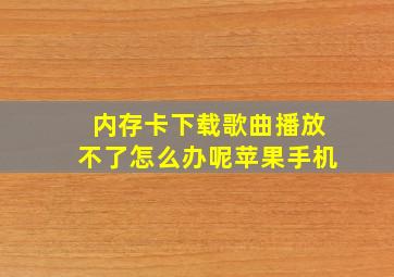 内存卡下载歌曲播放不了怎么办呢苹果手机