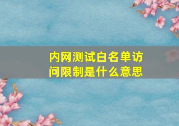 内网测试白名单访问限制是什么意思