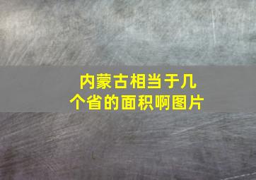 内蒙古相当于几个省的面积啊图片