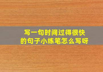 写一句时间过得很快的句子小练笔怎么写呀