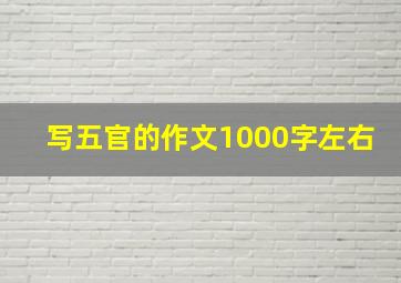 写五官的作文1000字左右