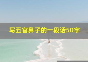 写五官鼻子的一段话50字