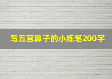 写五官鼻子的小练笔200字