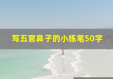 写五官鼻子的小练笔50字