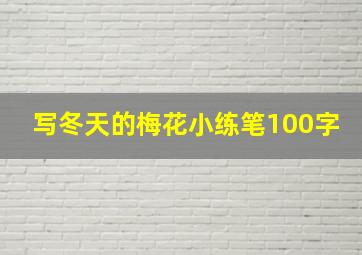 写冬天的梅花小练笔100字