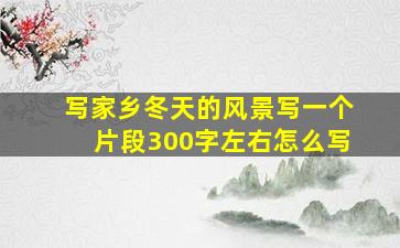 写家乡冬天的风景写一个片段300字左右怎么写