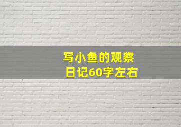 写小鱼的观察日记60字左右