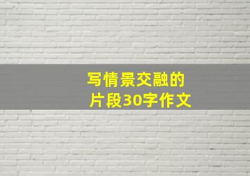 写情景交融的片段30字作文