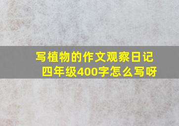 写植物的作文观察日记四年级400字怎么写呀