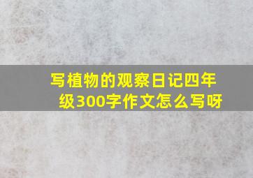 写植物的观察日记四年级300字作文怎么写呀