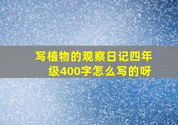 写植物的观察日记四年级400字怎么写的呀