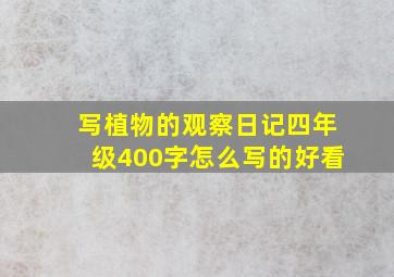 写植物的观察日记四年级400字怎么写的好看