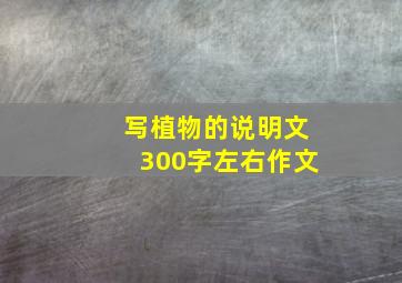 写植物的说明文300字左右作文