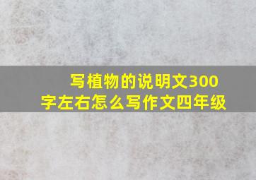 写植物的说明文300字左右怎么写作文四年级