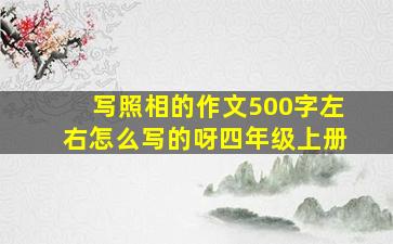 写照相的作文500字左右怎么写的呀四年级上册