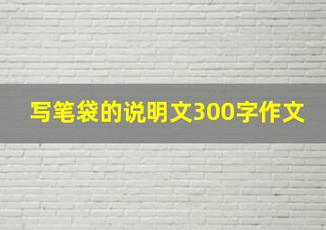 写笔袋的说明文300字作文