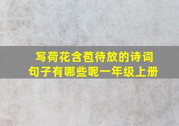 写荷花含苞待放的诗词句子有哪些呢一年级上册